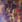 Spirit in the West - Danusha™