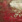 Untitled - Danusha™